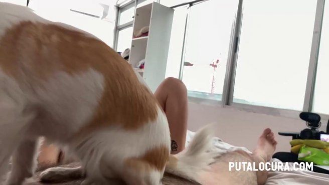 Старый пузатый мужик трахает молодую красотку с тату