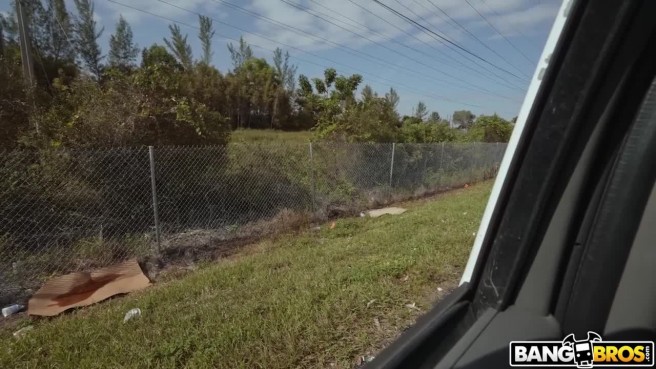 Снял на дороге незнакомку и трахнул в машине