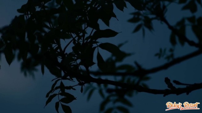 Гостиничные групповые развлечения