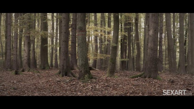 Лесбиянка села подруге на лицо и кончила от нежного куни